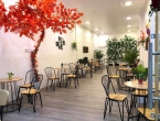 Thanh lý quán cafe Biên Hòa giải pháp nhanh chóng